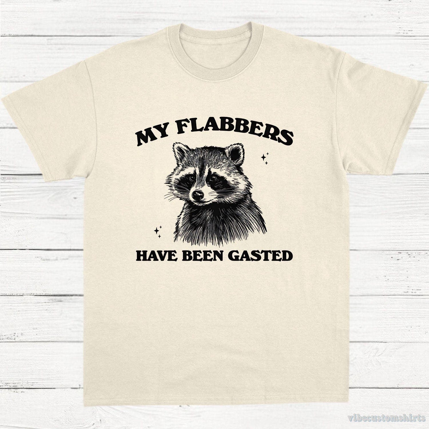 'Flabbers Have Been Gasted' Raccoon Vintage Tee - Funny Trash Panda Humor Shirt
