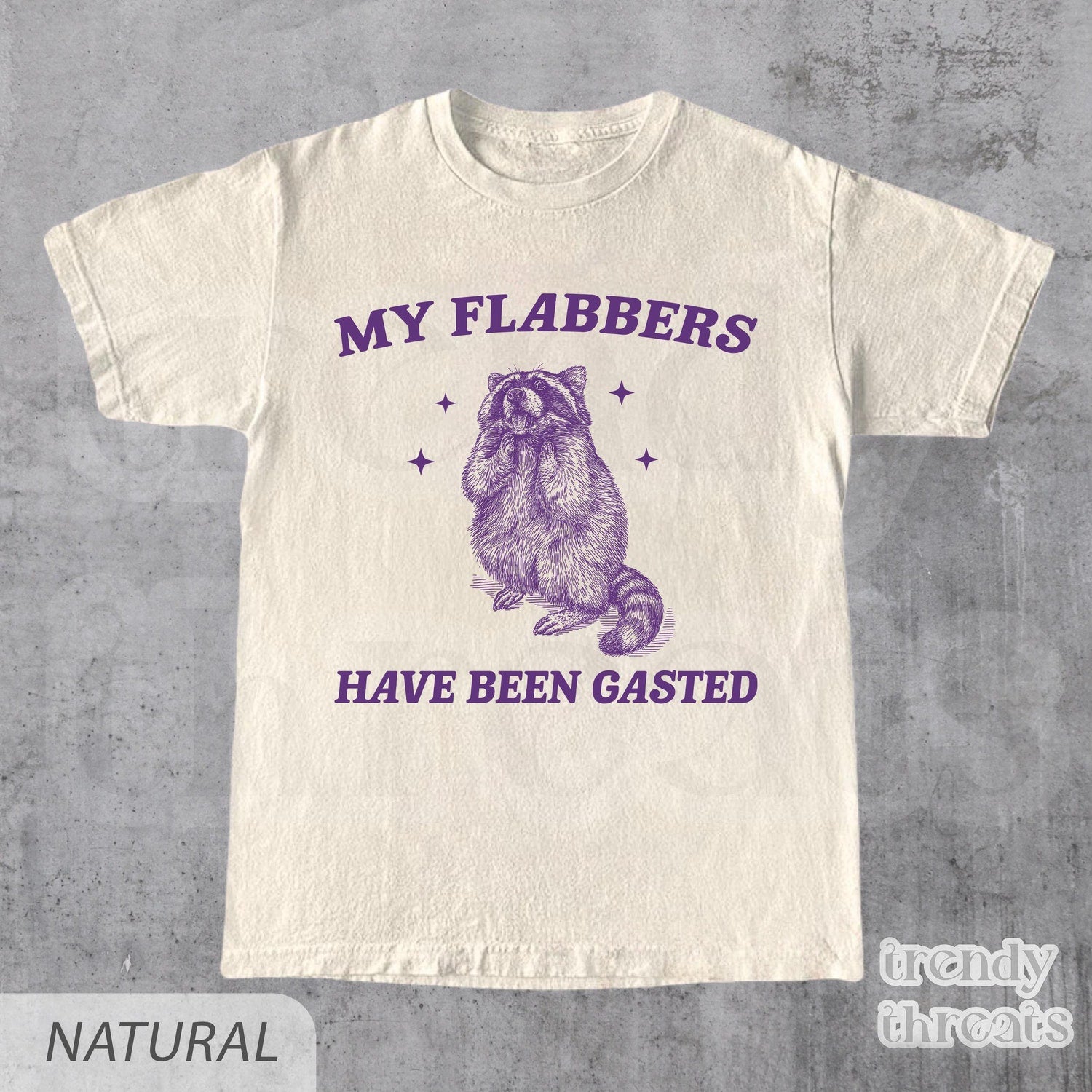 'My Flabbers Have Been Gasted' Raccoon Meme Tee - Funny Trash Panda Humor Shirt