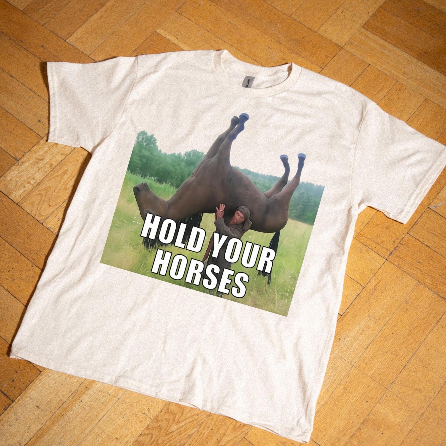 'Hold Your Horses' Western Frog Tee - Funny Meme Graphic Novelty Shirt