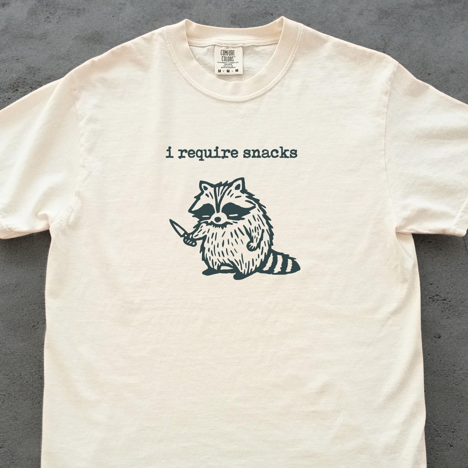 'Raccoon I Require Snacks' Goblincore Tee - Funny Cozy Snack Gremlin Graphic Novelty Shirt